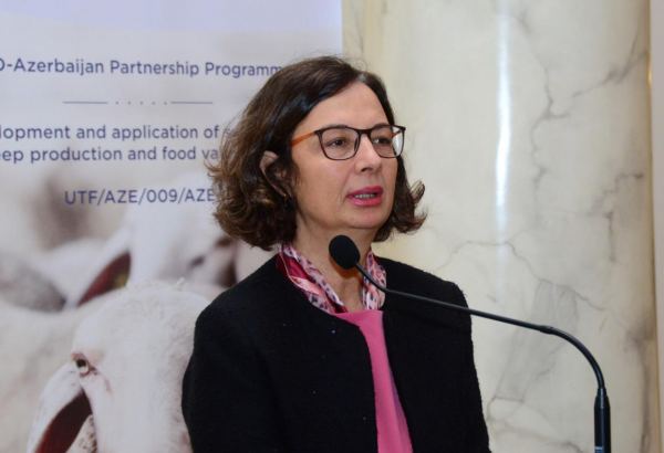 FAO talks about projects implemented in Azerbaijan