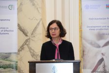 Azerbaijan one of most important partners of FAO (PHOTO)