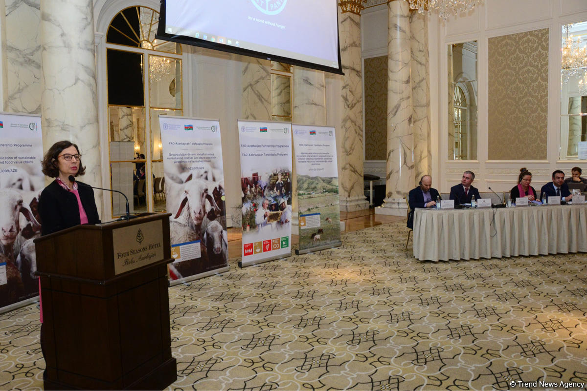 Azerbaijan one of most important partners of FAO (PHOTO)