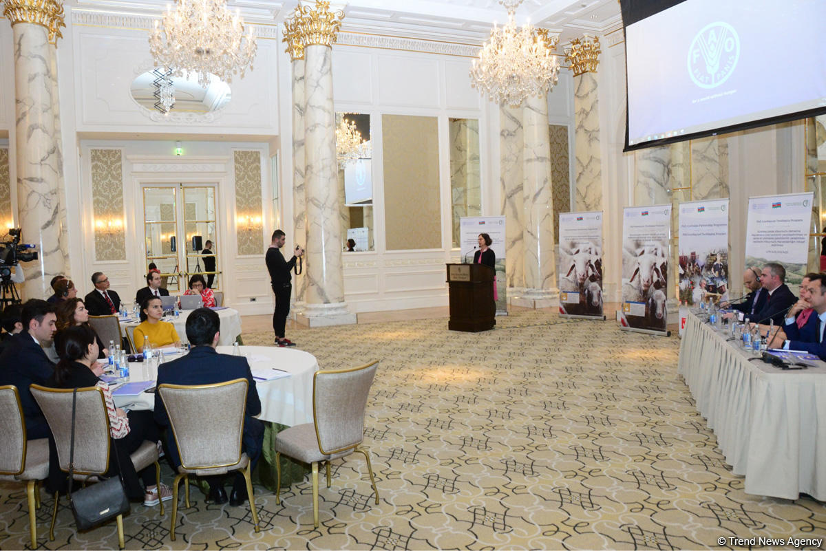 Azerbaijan one of most important partners of FAO (PHOTO)