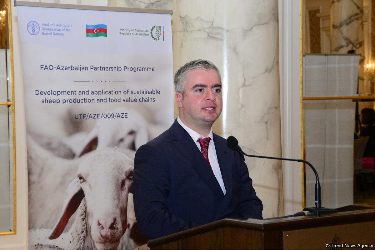 Azerbaijan one of most important partners of FAO (PHOTO)