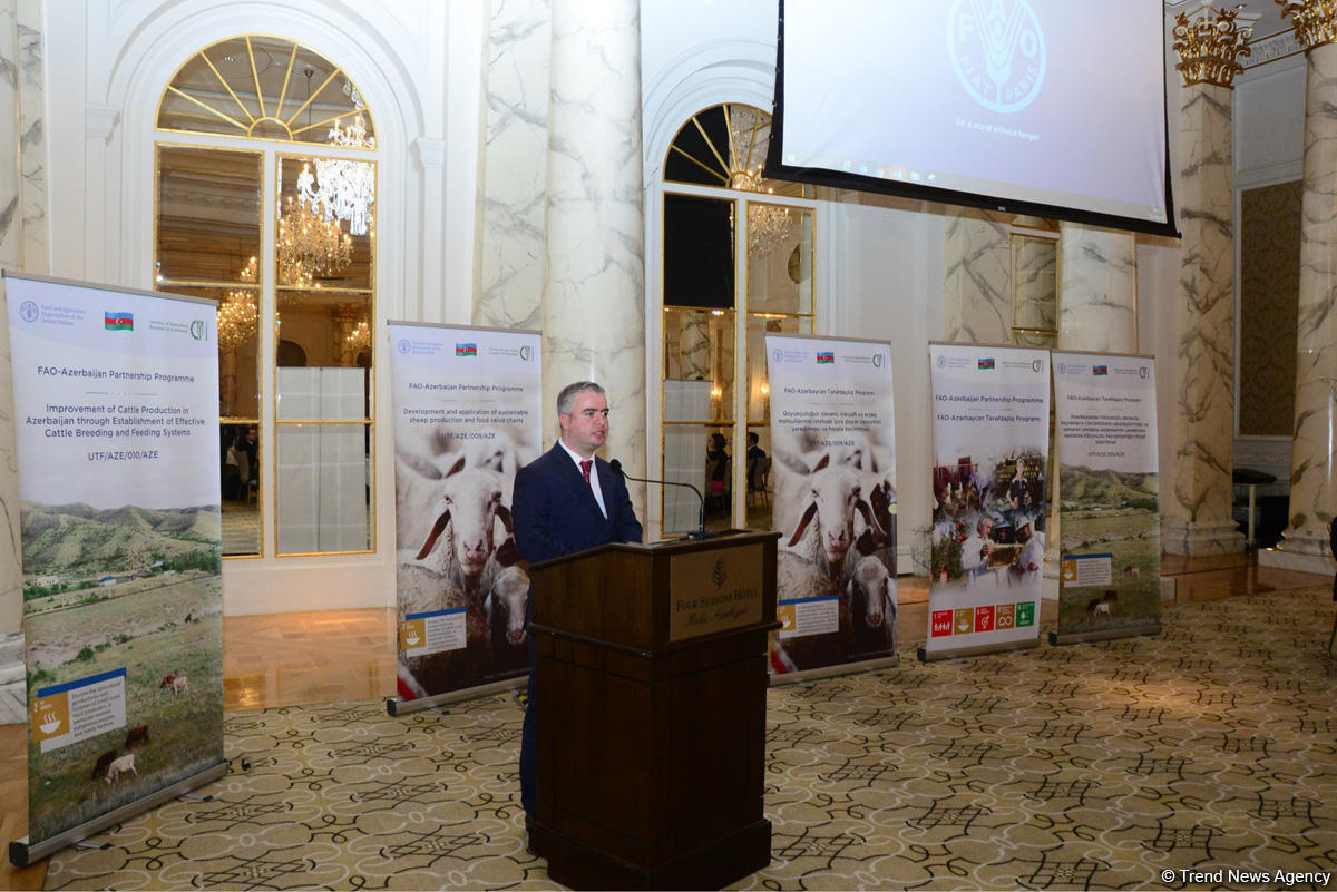 Azerbaijan one of most important partners of FAO (PHOTO)