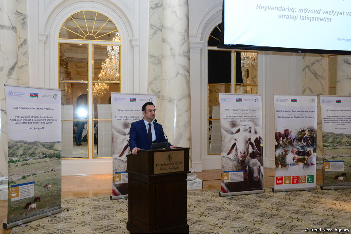 Azerbaijan one of most important partners of FAO (PHOTO)