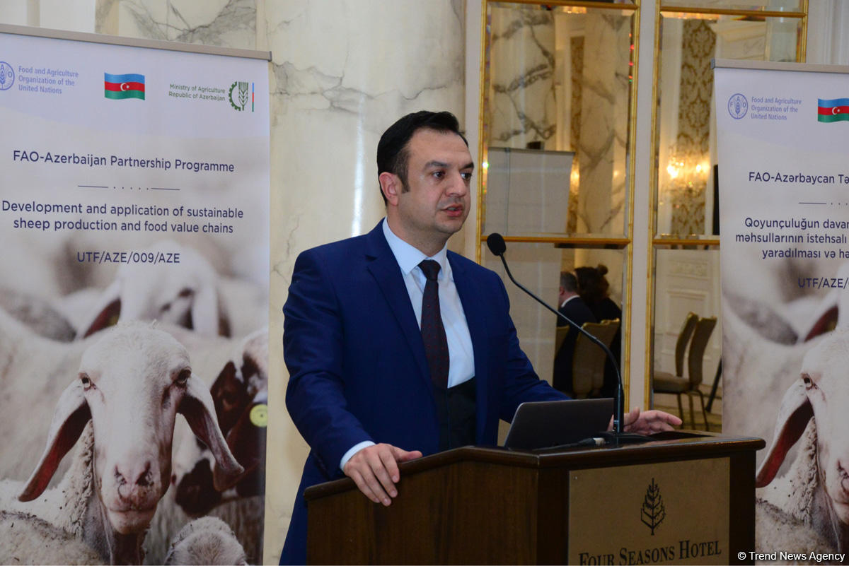 Azerbaijan one of most important partners of FAO (PHOTO)