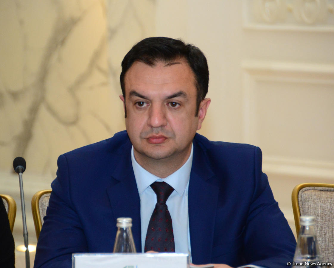 Azerbaijan one of most important partners of FAO (PHOTO)