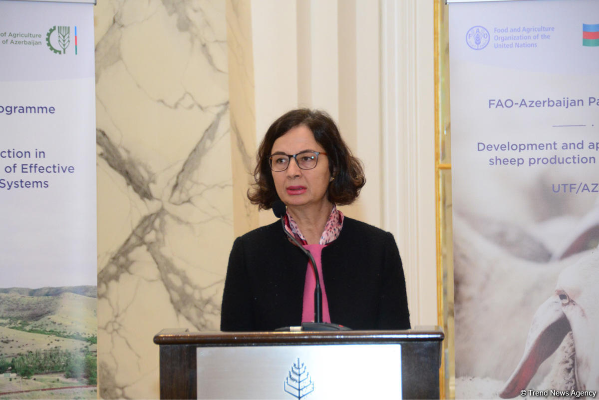 Azerbaijan one of most important partners of FAO (PHOTO)