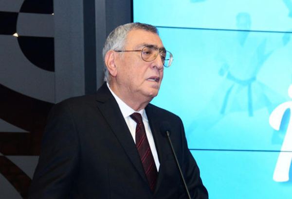 Azerbaijan shines as one of most recognized sports nations - National Olympic Committee