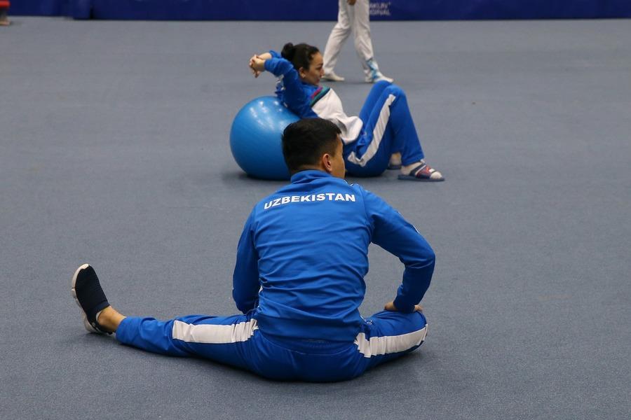 Preparations of Azerbaijani gymnasts for World Cup actively continue (PHOTO)