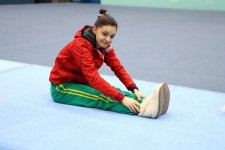 Preparations of Azerbaijani gymnasts for World Cup actively continue (PHOTO)