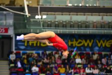 Breathtaking moments at Trampoline & Tumbling World Cup (PHOTO)