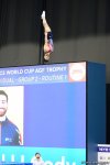 Breathtaking moments at Trampoline & Tumbling World Cup (PHOTO)