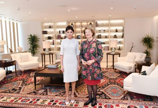 Azerbaijan's First VP meets UK Prime Minister's Trade Envoy (PHOTO)