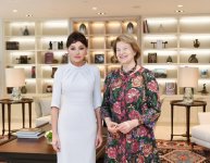 Azerbaijan's First VP meets UK Prime Minister's Trade Envoy (PHOTO)