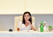 Azerbaijani president, first lady meet culture, art figures (PHOTO)