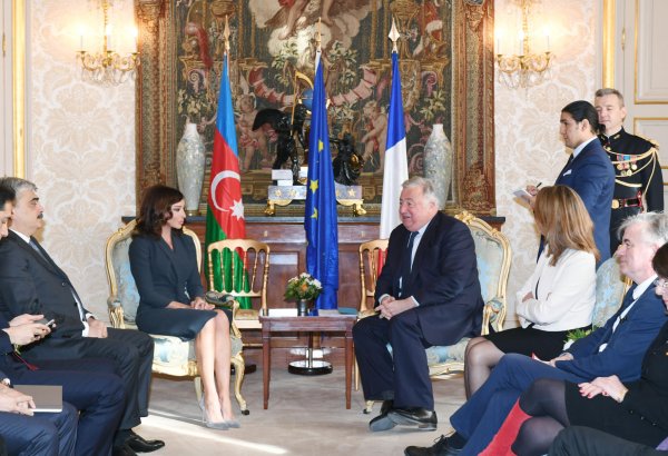 First Vice-President of Azerbaijan Mehriban Aliyeva meets President of French Senate Gerard Larcher (PHOTO)