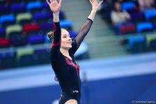 Best moments of FIG World Cup in gymnastics in Baku (PHOTO)
