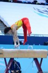 Best moments of FIG World Cup in gymnastics in Baku (PHOTO)
