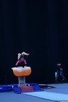 Best moments of FIG World Cup in gymnastics in Baku (PHOTO)