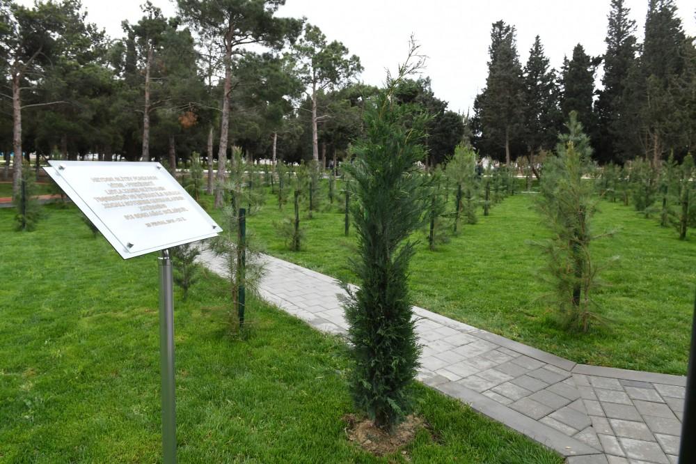Azerbaijani president, First lady view conditions created at reconstructed Neftchilar park in Baku (PHOTO)