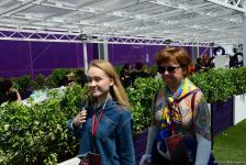 Fans of Formula 1 SOCAR Azerbaijan Grand Prix at Baku Boulevard (PHOTO)
