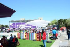 Spectators of F1 SOCAR Azerbaijan Grand Prix 2019 enjoying sights of Baku (PHOTO)