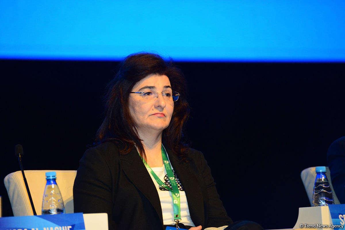 High-level meeting within World Forum on Intercultural Dialogue held in Baku (PHOTO)