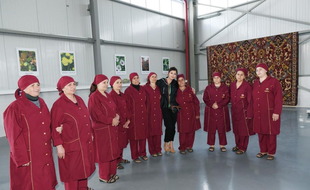 Azerbaijani president, first lady inaugurate Gobustan branch of Azerkhalcha OJSC (PHOTO)
