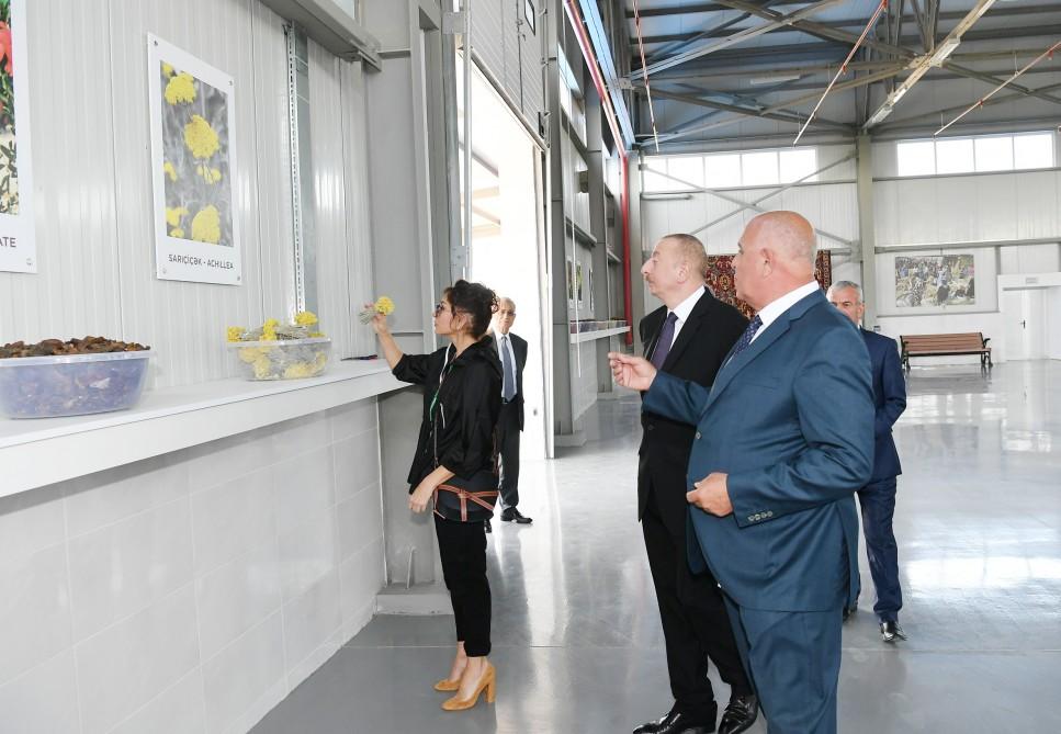 Azerbaijani president, first lady inaugurate Gobustan branch of Azerkhalcha OJSC (PHOTO)