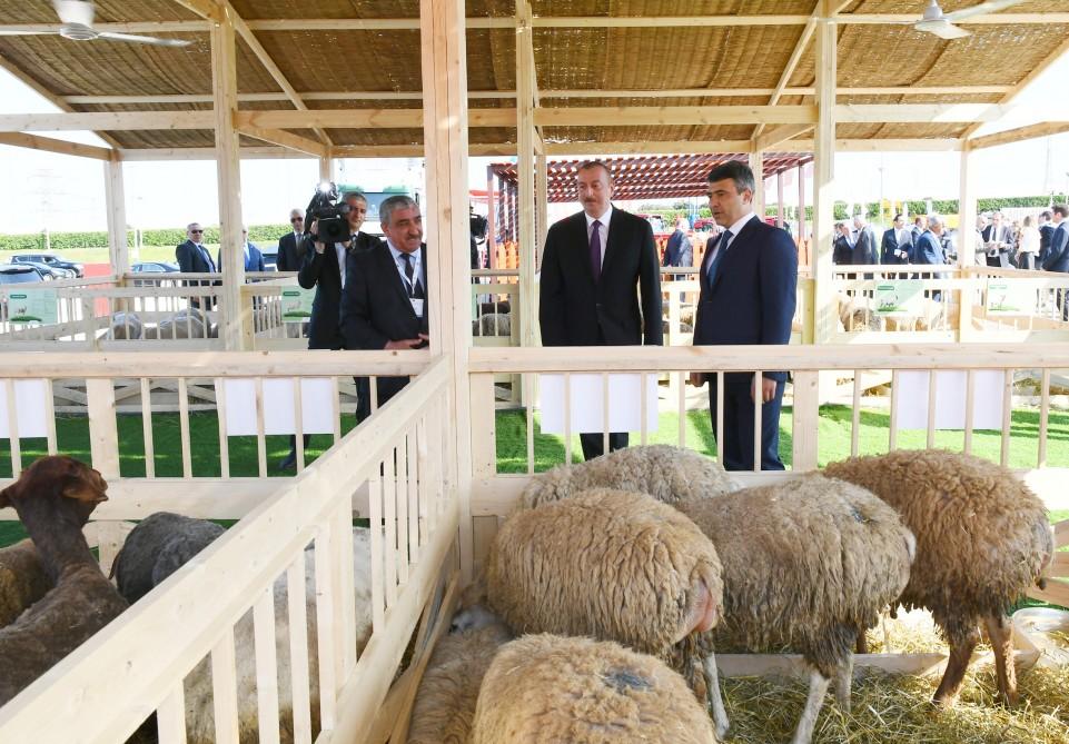 President Aliyev views 25th Azerbaijan International Food Industry and 13th Azerbaijan International Agriculture exhibitions (PHOTO)