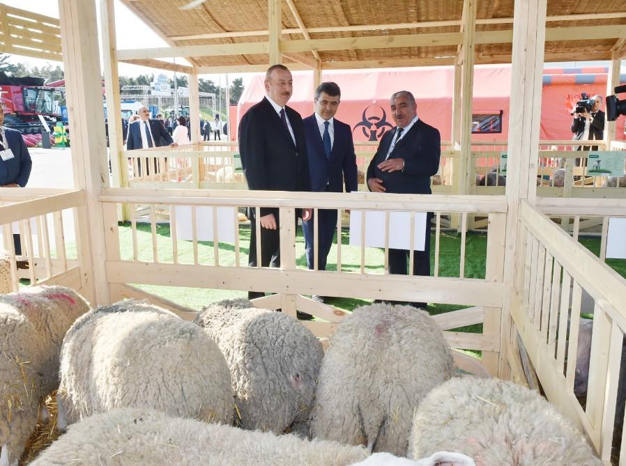 President Aliyev views 25th Azerbaijan International Food Industry and 13th Azerbaijan International Agriculture exhibitions (PHOTO)