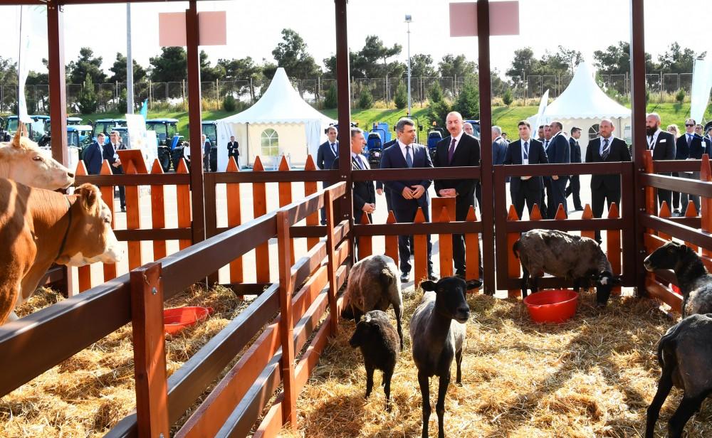 President Aliyev views 25th Azerbaijan International Food Industry and 13th Azerbaijan International Agriculture exhibitions (PHOTO)