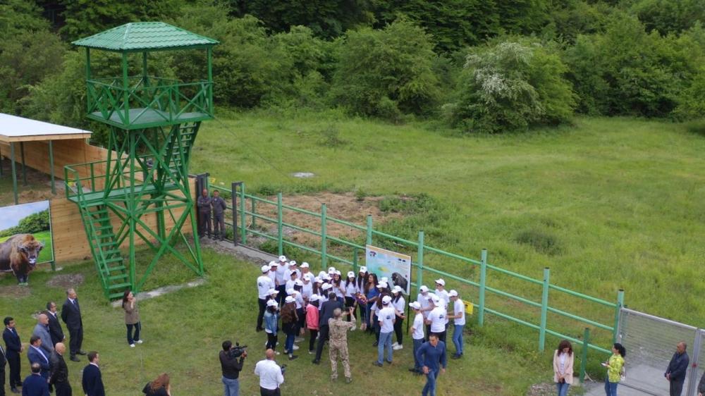 Heydar Aliyev Foundation VP attends event within ‘Reintroduction of bisons in Azerbaijan’ project (PHOTO)