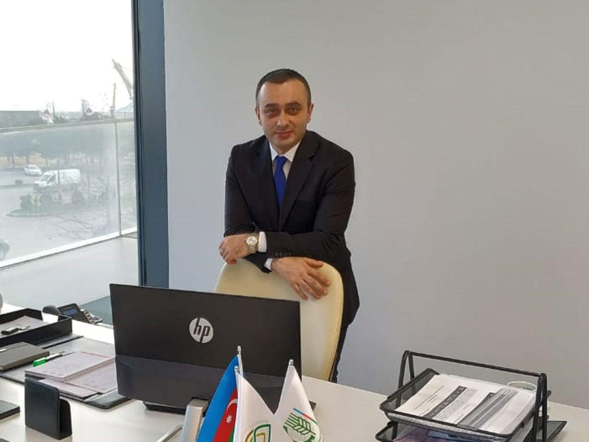 Azerbaijan to begin production of seeds resistant to viruses, drought, diseases (Interview)
