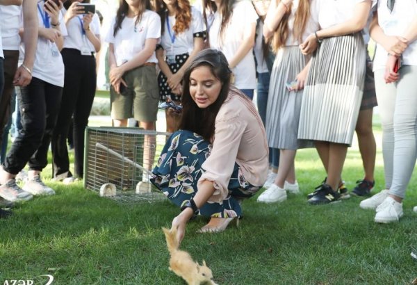 Urban Ecology Project continues successfully in Baku (PHOTO)