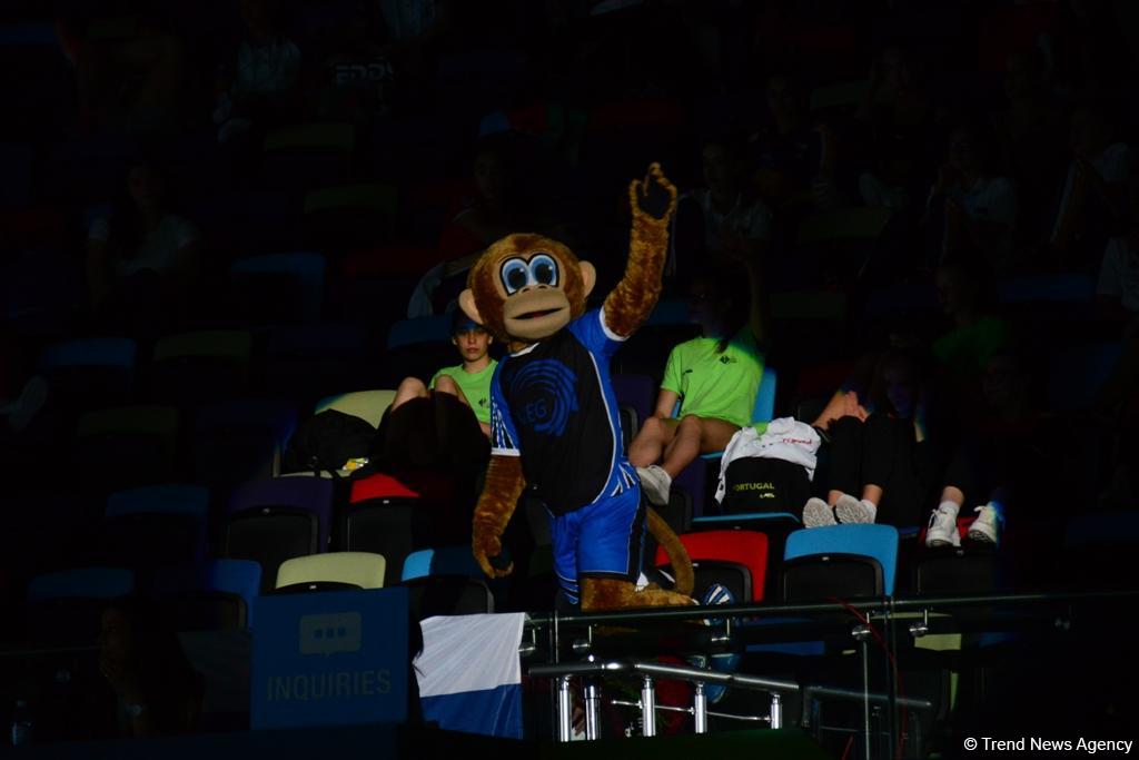 Best moments of 11th European Aerobic Gymnastics Championship finals in Baku (PHOTO)