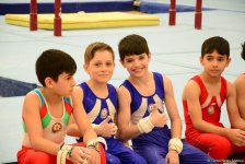 Championships in acrobatic and artistic gymnastics start in Baku (PHOTO)