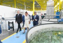 President Aliyev, first lady Mehriban Aliyeva familiarized themselves with production process at NaraMIZ fish farm in Pirallahi district (PHOTO)