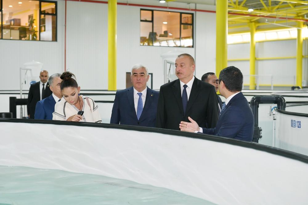 President Aliyev, first lady Mehriban Aliyeva familiarized themselves with production process at NaraMIZ fish farm in Pirallahi district (PHOTO)