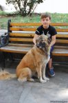 Tbilisi: Harmony of antiquity with modernity (PHOTO)