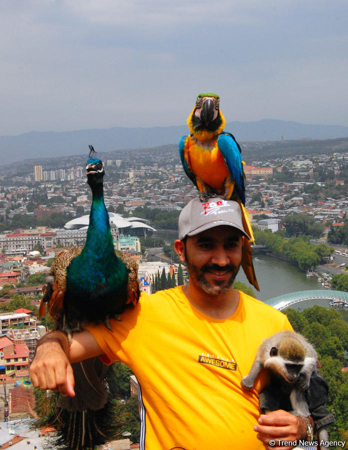 Tbilisi: Harmony of antiquity with modernity (PHOTO)