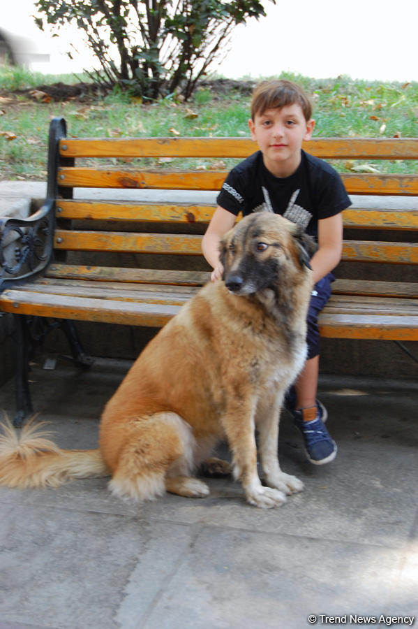 Tbilisi: Harmony of antiquity with modernity (PHOTO)