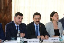 First-ever Grape and Wine Festival underway in Azerbaijan  (PHOTO)