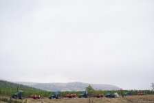 Morning photo session from 1st Grape and Wine Festival in Azerbaijan’s Shamakhi city