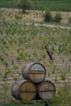 Morning photo session from 1st Grape and Wine Festival in Azerbaijan’s Shamakhi city
