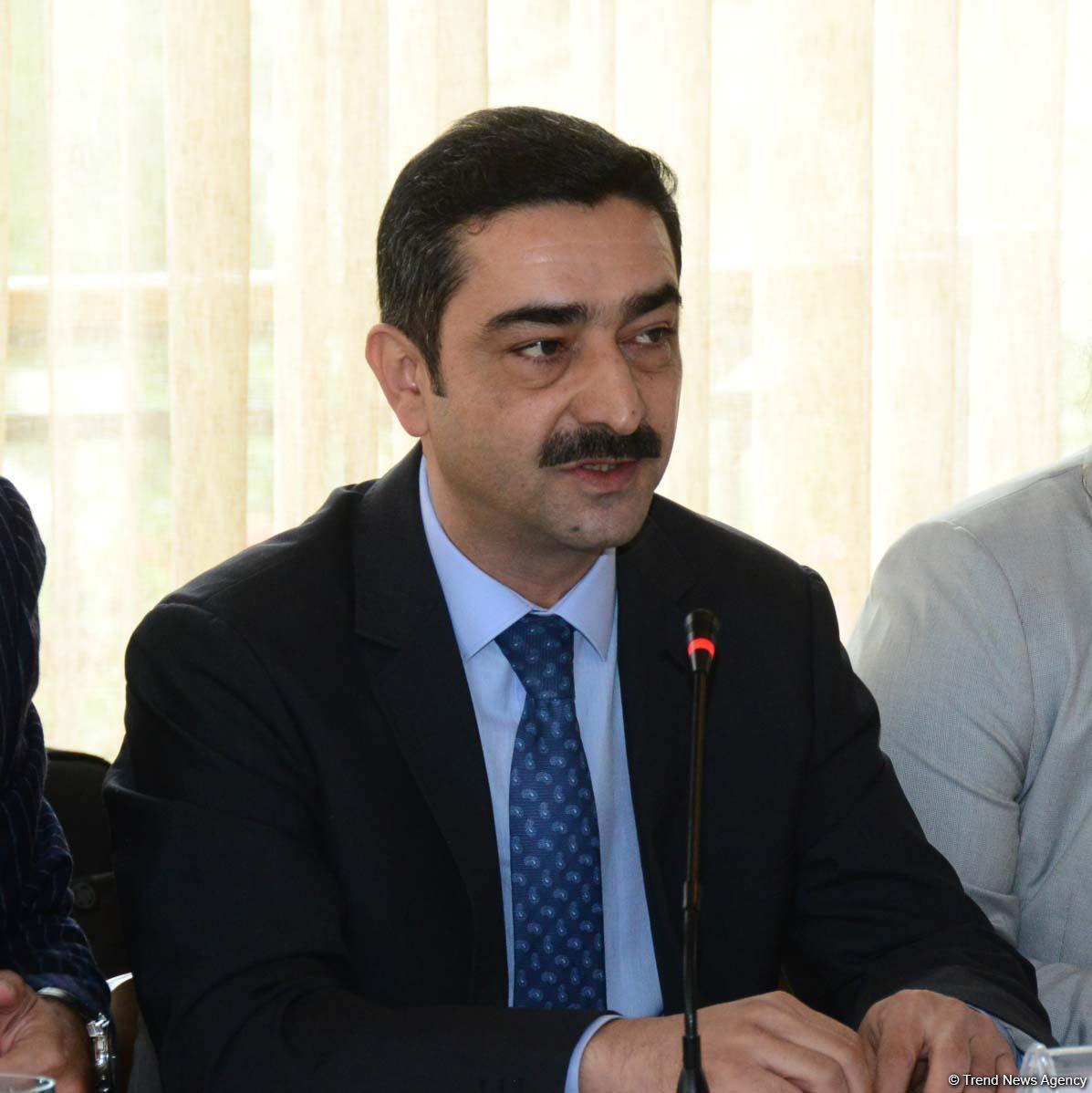 First-ever Grape and Wine Festival underway in Azerbaijan  (PHOTO)