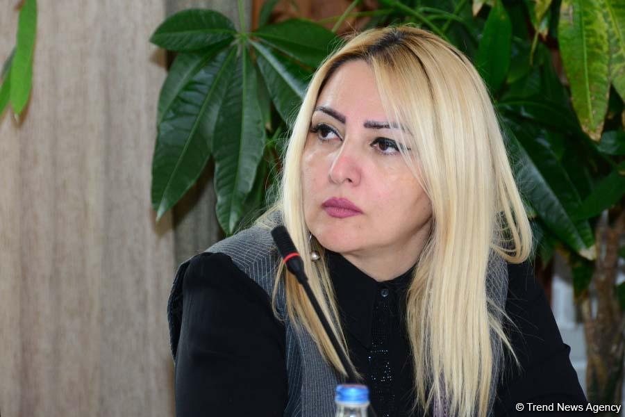 First-ever Grape and Wine Festival underway in Azerbaijan  (PHOTO)