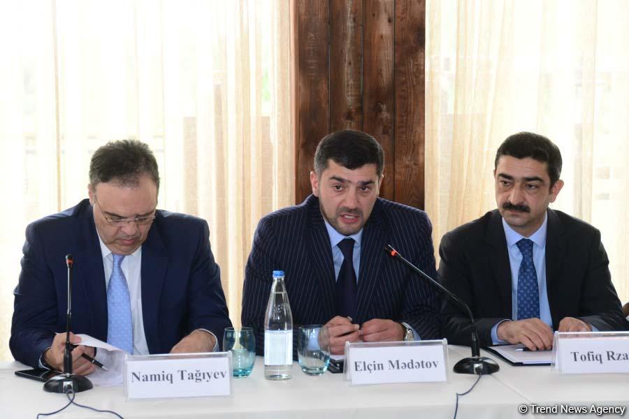 First-ever Grape and Wine Festival underway in Azerbaijan  (PHOTO)