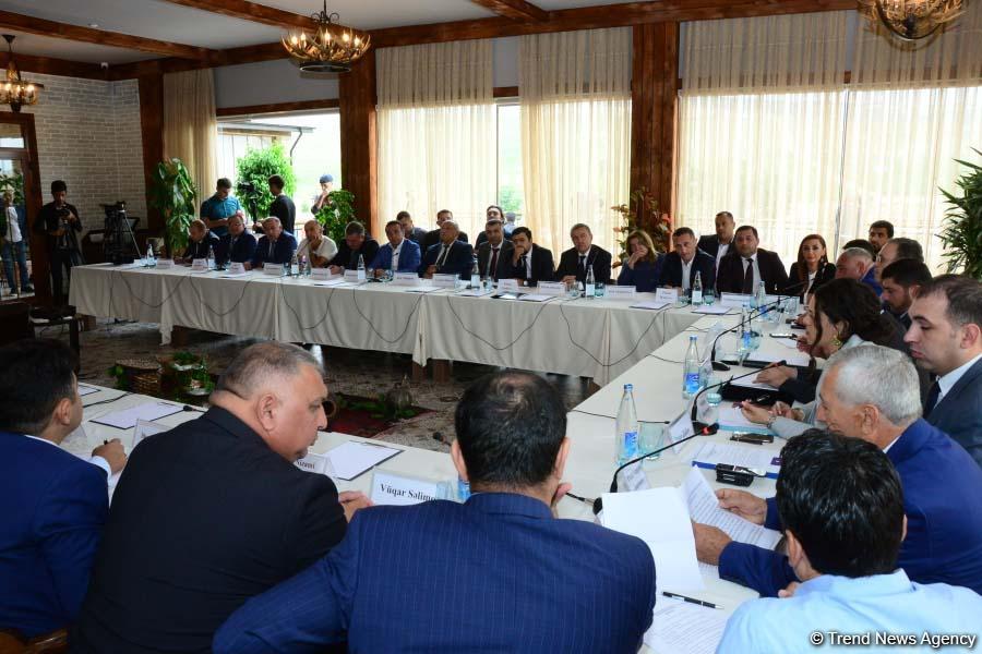 First-ever Grape and Wine Festival underway in Azerbaijan  (PHOTO)