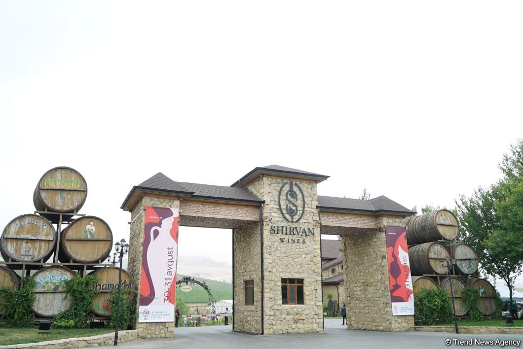 Morning photo session from 1st Grape and Wine Festival in Azerbaijan’s Shamakhi city