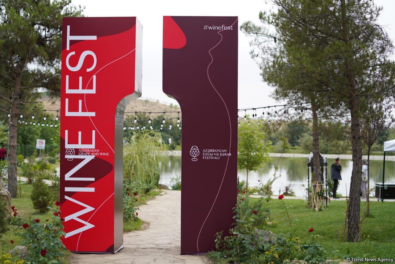 Morning photo session from 1st Grape and Wine Festival in Azerbaijan’s Shamakhi city